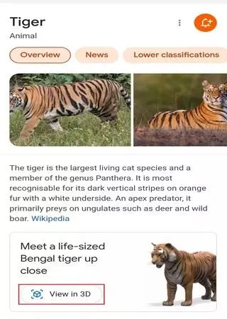 Google Animals 3D View